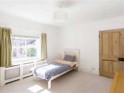 Picture 16